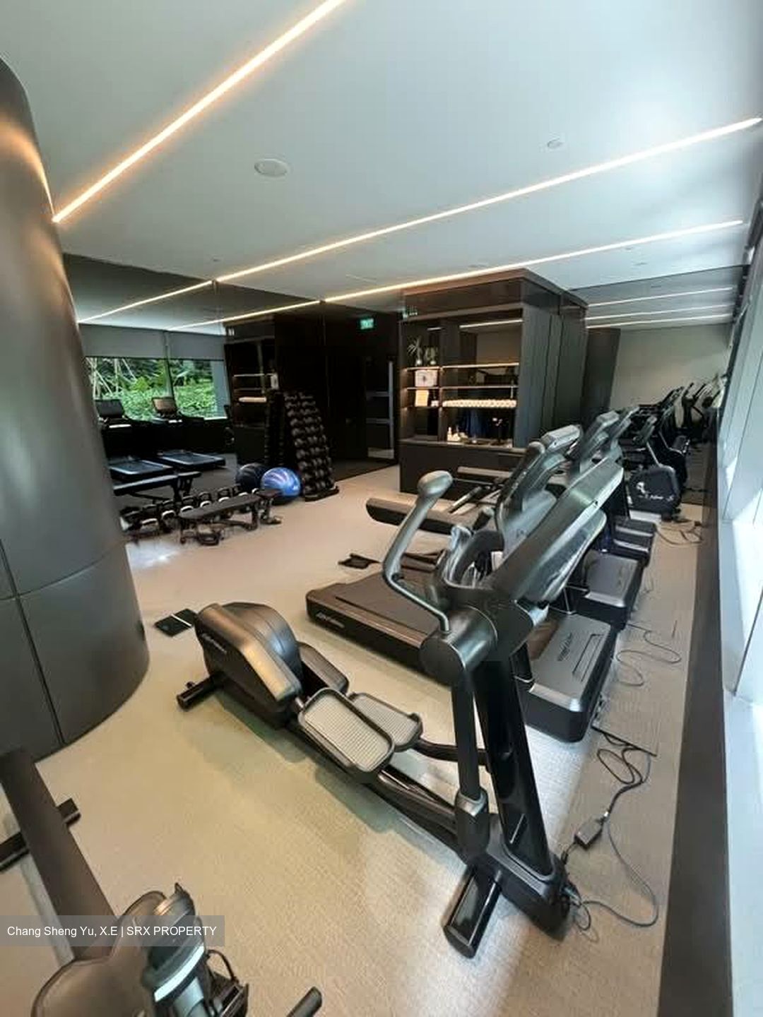 Cuscaden Reserve (D10), Condominium #571786631